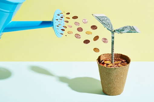 How Much Money You Should Invest in Mutual Funds?