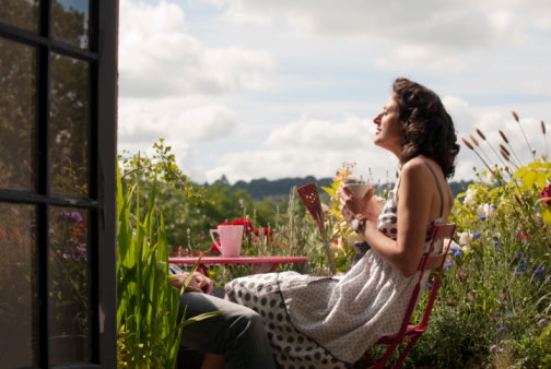 Check Out the Ideal Plants for Your Balcony