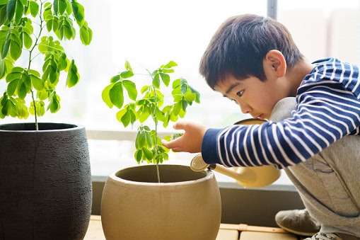 Enhance Your Plant Experience