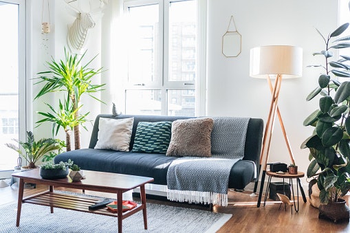 Add Plants to Your Home Decor