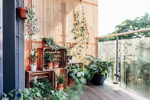 Consider the Sunlight in Your Balcony