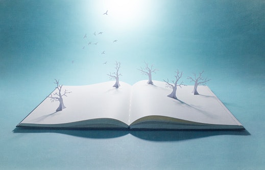 Check the Number of Pages