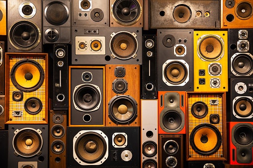 Make Sure the Speaker Style Matches Your Expectations