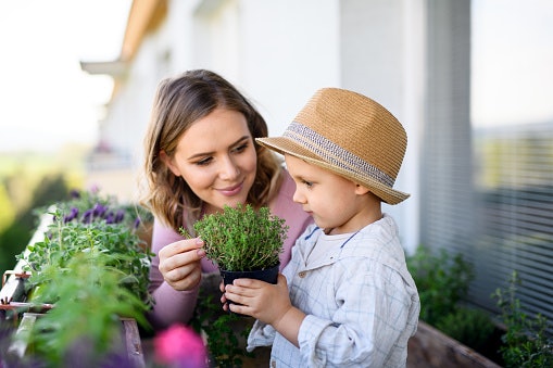 If You're a Beginner, Start With Easy Growing Flowers