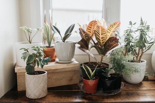 Recognise the Right Pots