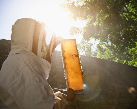 Check if the Honey Is Unprocessed, Unfiltered, and Unpasteurized
