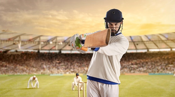 Understand the Importance of Grains on a Cricket Bat