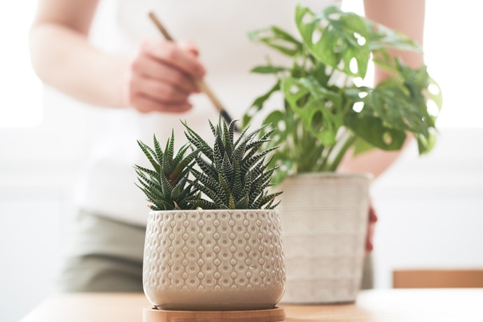 Go for the Pots That Have Holes Under Them