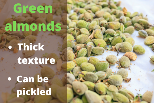 Get Green Almonds as They Are Inexpensive & Offer Same Health Benefits