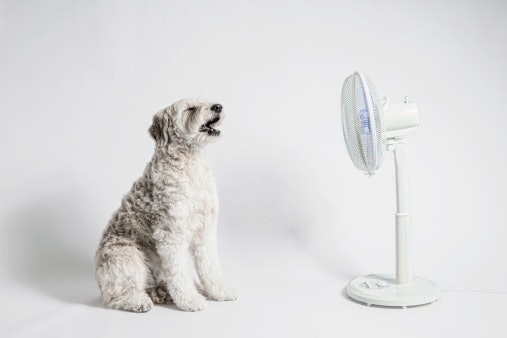 Consider the Volume of Air and Sweep of a Fan