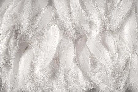 Those Who Like Fluffy Pillows, Look for Feathers and Down Filling