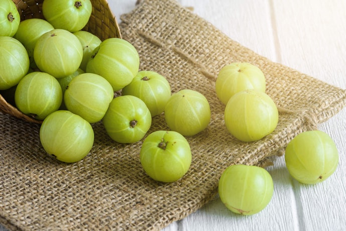 Full of Vitamin C and Minerals, Amla is the Most Effective Ingredient