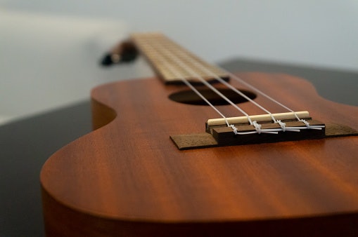 Rosewood Results in Warmer Tones as It Absorbs Stray Overtones