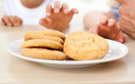 Snacks Should Be Light, Easy to Eat, but Also Healthy