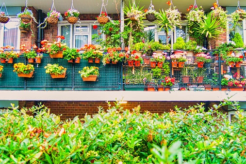 Check Whether You Want for Indoors or Outdoors