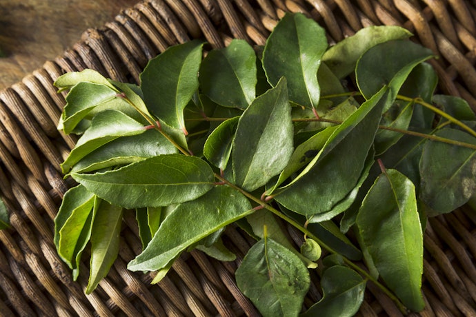 Use Curry Leaves for Prevention