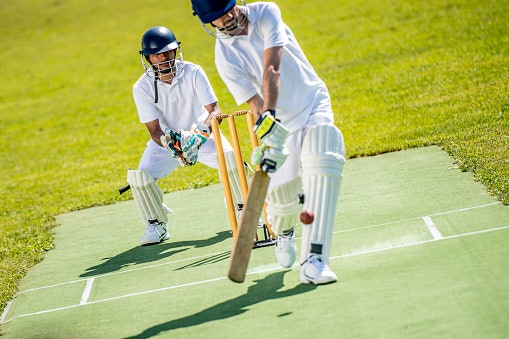 English Willow Is Grown Specifically for Cricket Bats