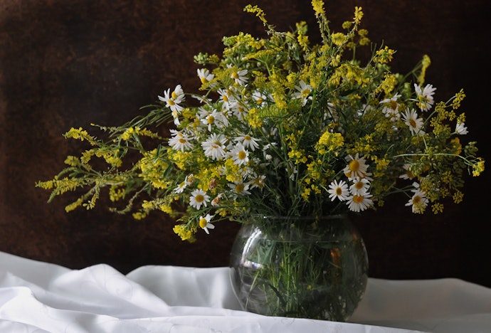Glass and Metal Pots are Good Alternatives to Ceramic Pots