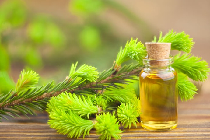Tea Tree Oil Unclogs Pores and Prevents Dandruff