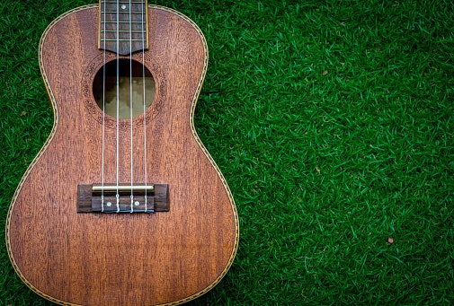 Solid Wood Is Better Than Wood Laminate