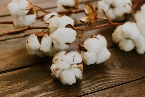 Cotton Sweaters for Everyday Use