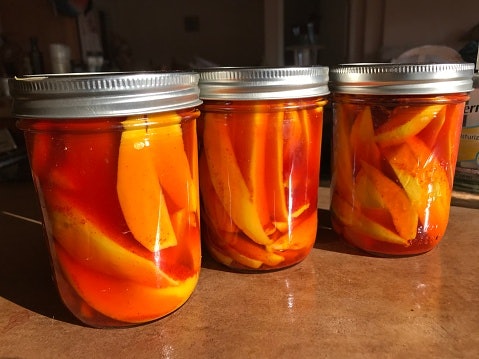 Pickle-Worthy Fruits and Vegetables in India