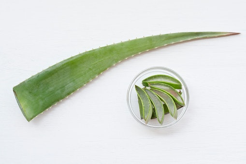 Oily and Acne-Prone Skin Can Benefit From Tea Tree Oil and Aloe Vera