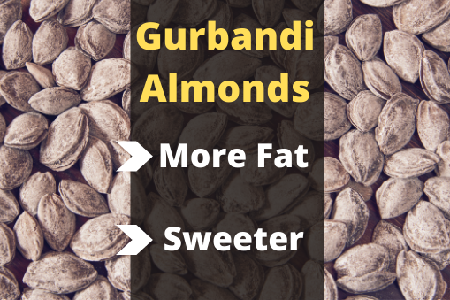 If You Are Looking For More Nutritional Value, Go For Gurbandi or Kashmiri as They Are Less/Not Processed