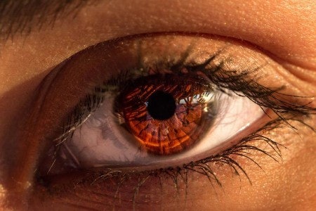For Hazel or Amber Eyes, Go With Burgundy or Brown Tones With Gold Shimmer