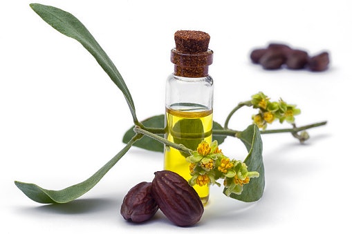 Coconut Oil, Argan Oil, and Jojoba Oil Strengthen Hair Strands and Follicles