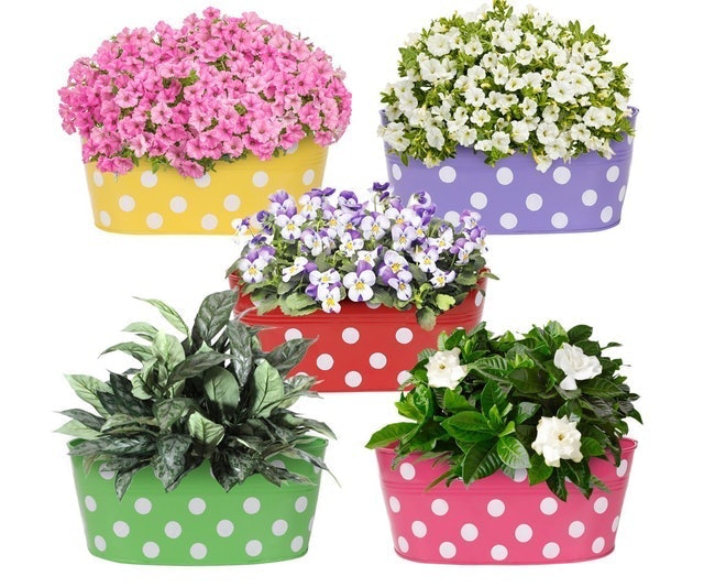 Rust-Free Hanging Planter 1