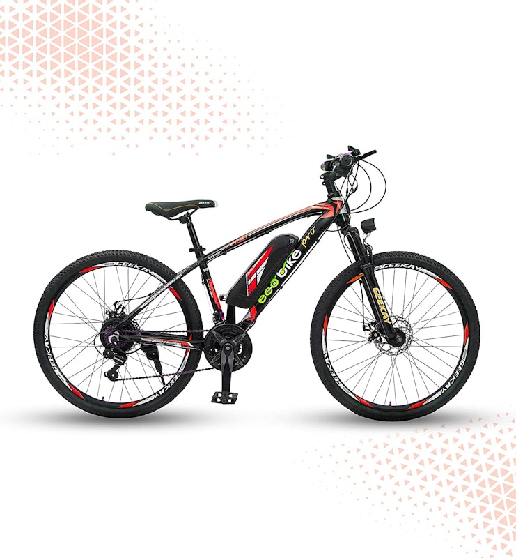 Ecobike Pro 26 1