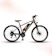 Geekay Ecobike Pro 26 1