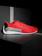 Puma Scuderia Ferrari Drift Cat 8 1