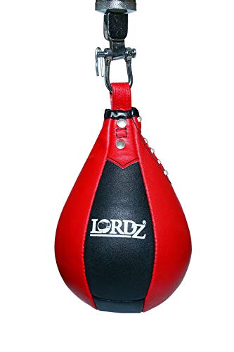10 Best Punching Bags in India 2021(Lew, Prospo, Lordz, and more) 3