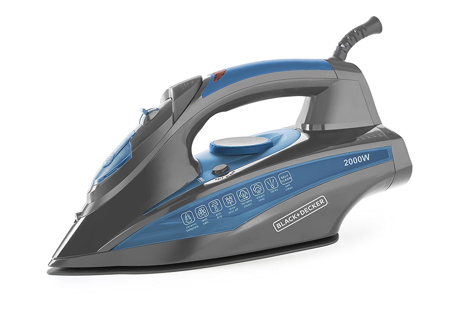 Steam Iron 1