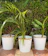 Ecofynd Round Metal Planter 1