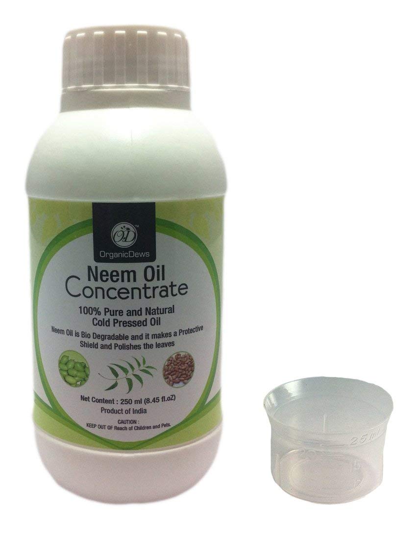 Neem Oil Concentrate 1
