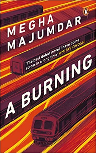 10 Best Fiction Books in India 2021(A Burning, Sex and Vanity, and more) 1