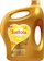 Saffola Gold Pro Healthy Lifestyle Blended Oil Can 1