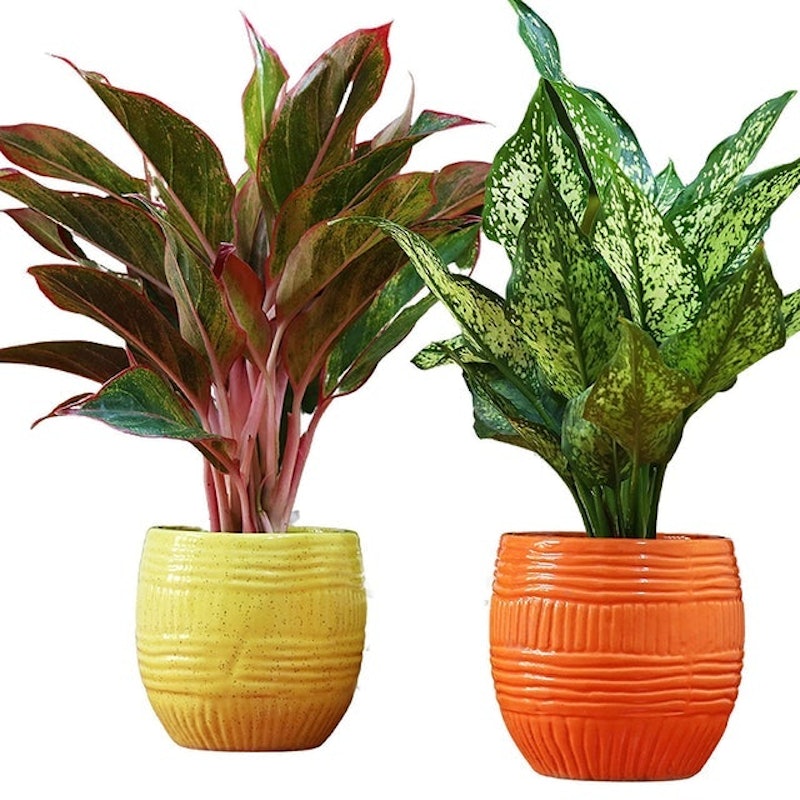 Ceramic Flower Pot With Self Design Lines 1