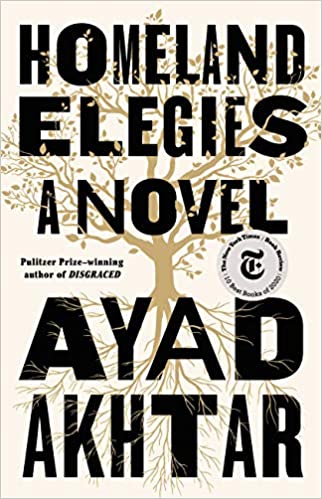 10 Best Fiction Books in India 2021(A Burning, Sex and Vanity, and more) 5