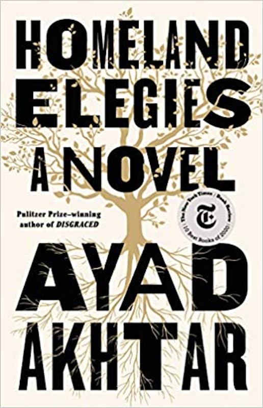 Homeland Elegies 1