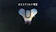 Bungie Destiny 2 1