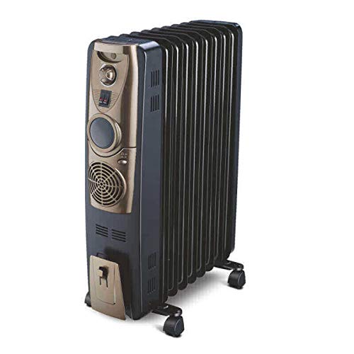 7 Best Room Heaters in India 2021 (Usha, Bajaj, Havells, and More) 1