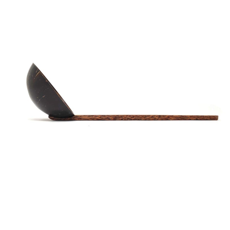 Coconut Ladle 1