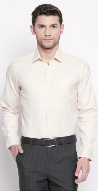 Textured Formal Shirt 1
