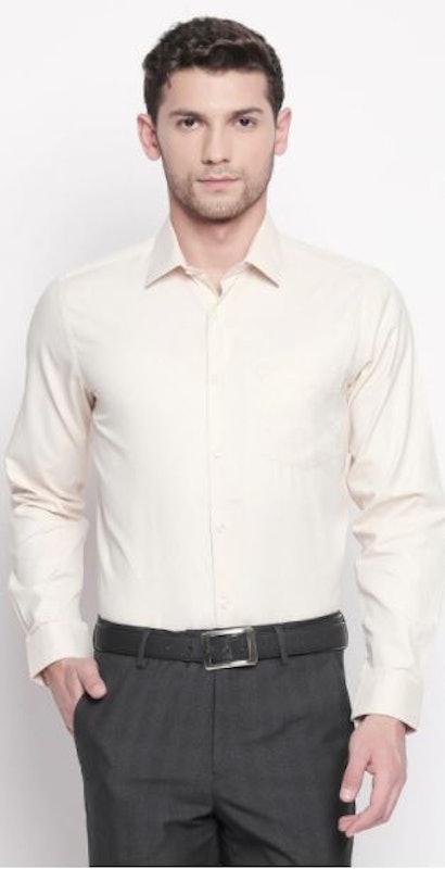 Textured Formal Shirt 1