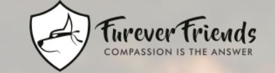 6 Best Animal Rescue Organizations to Donate to in India 2021 (Peepal Farm, Furever Friends, and more) 1