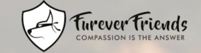 Furever Friends 1